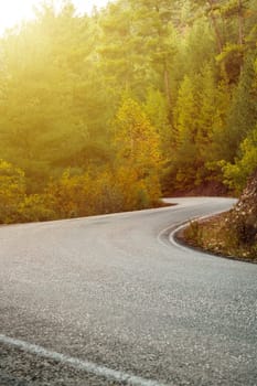 Asphalt road through autumn forest at sunrise