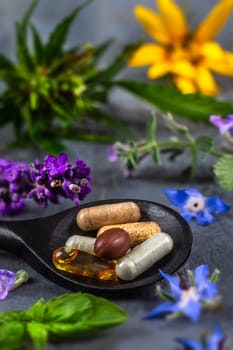 Holistic medicine approach. Healthy food eating, dietary supplements, healing herbs and flowers.