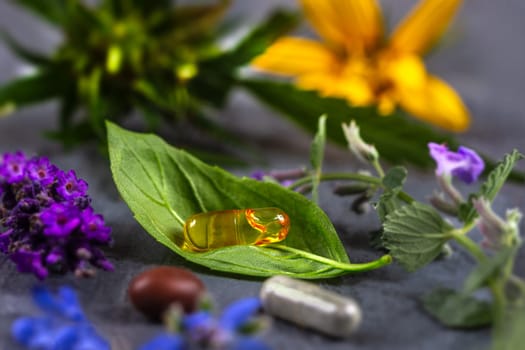 Healthy food eating, dietary supplements, healing herbs basil leaf and flowers. , omega acid capsules.