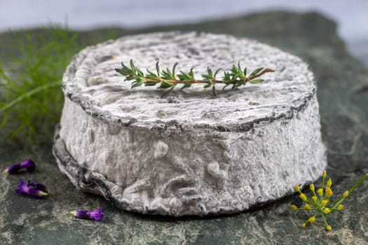 Single piece of French ash coated goats cheese c