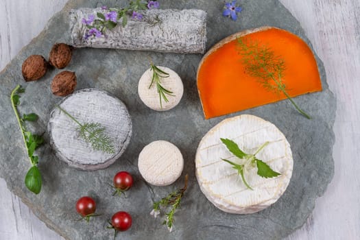 Selection of different types of cheese. Tasty and fresh cheese