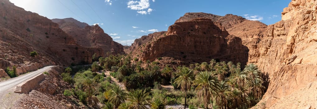 Magnificent oasis in the Ait Mansour gorge in the Anti-Atlas mountains, Morocco