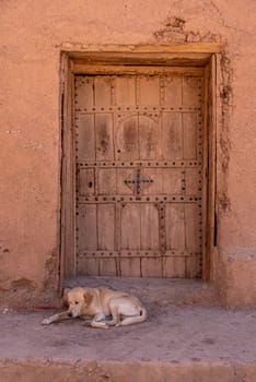 A dog laying in front of a closed door of a berber house, Draa valley in Morocco