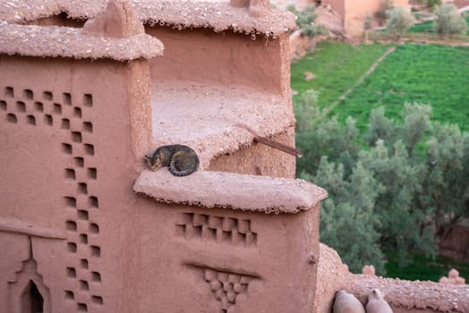 Scenic historic clay houses in the ancient UNESCO town of Ait Ben Haddou in Morocco