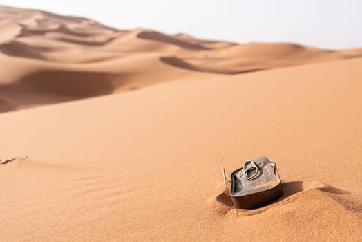 A fish tin left behind, polluting the Sahara desert, Morocco