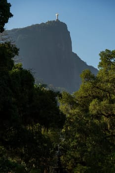 View of Christ the Redeemer statue from Rio's botanical garden, standing atop a peak with open arms against a blue sky.