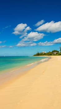 Barbados Island's Sandy Paradise Beach, Caribbean Island