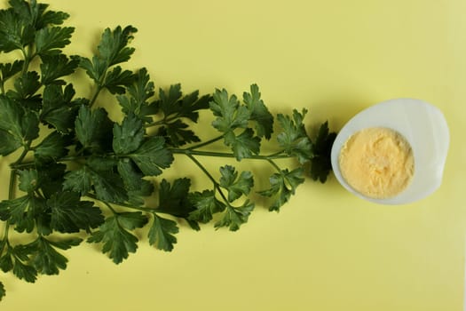 Green parsley and a boiled chicken egg on a yellow background. High quality photo