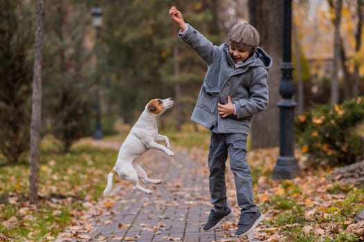 Caucasian boy playing with a dog for a walk in the autumn park