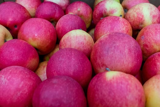 natural red ripe apples as a background.