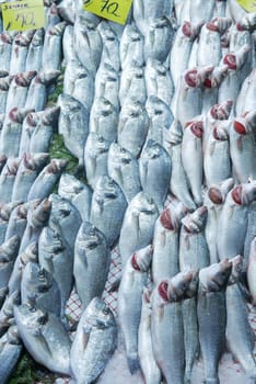 fresh fish in ice at local market shop .