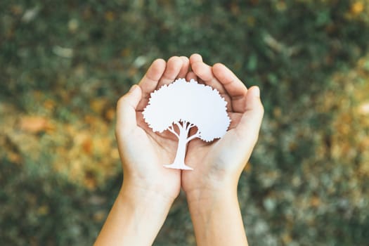 Little boy holding recycled paper tree to promote eco lifestyle on reducing, reusing, and natural reforestation and long-term environmental sustainability for future generation. Gyre