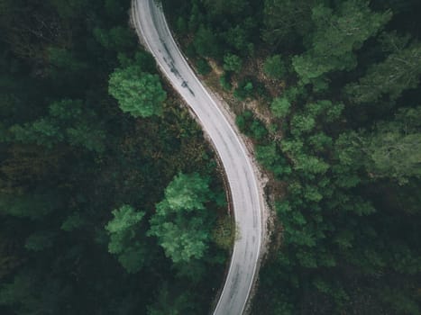 Aerial view of forest road with pine trees on both sides in autumn