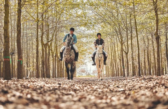 Portrait, women and horses in a forest, nature and happiness with animal care, stallion and countryside. Adventure, pets and girls with joy, activity and relax with hobby, bonding together and woods.
