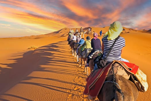 Camel caravan going through the sand dunes in the Sahara Desert, Morocco.