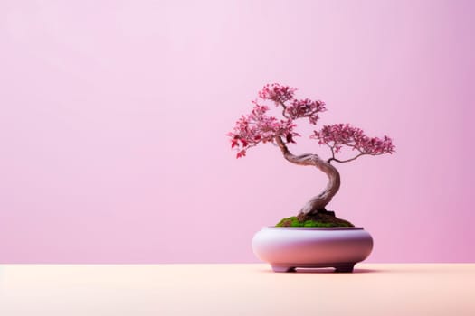 Miniature bonsai tree in a ceramic pot on a background with a copy space. Minimalism.