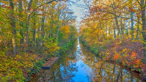 Fall in the Netherlands