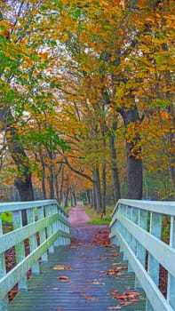 Fall in the Netherlands Europe
