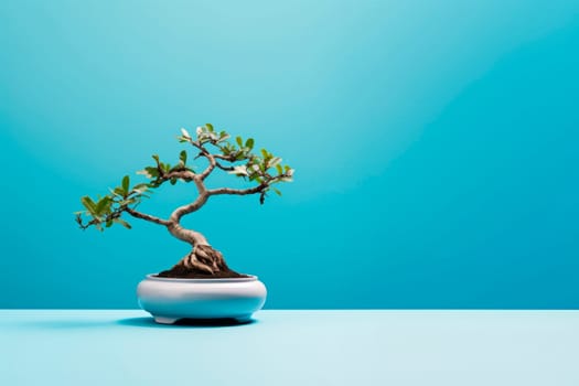 Miniature bonsai tree in a ceramic pot on a background with a copy space. Minimalism.