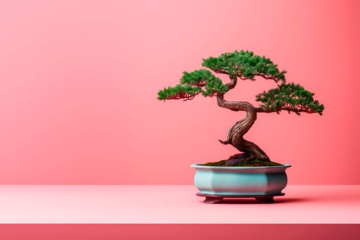 Miniature bonsai tree in a ceramic pot on a background with a copy space. Minimalism.