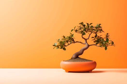 Miniature bonsai tree in a ceramic pot on a background with a copy space. Minimalism.