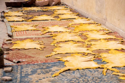 Leather being dried on a rooftop of a tannery in Fes, Morocco