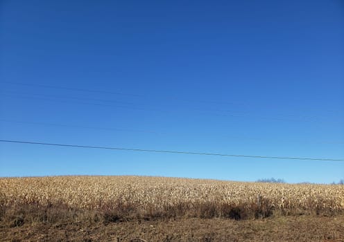 View of a Rural Landscape in Autumn, Baltic, Ohio