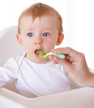 Sweet, spoon and baby eating vegetables in feeding chair in a studio for health and nutrition. Cute, natural and boy newborn, child or kid enjoying a meal for wellness diet by white background
