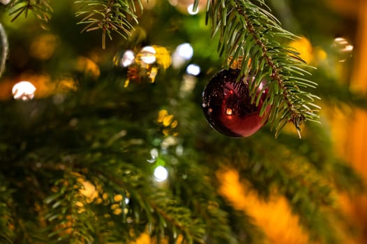Red Christmas tree ball picturesquely isolated on the fir branch on the Christmas tree
