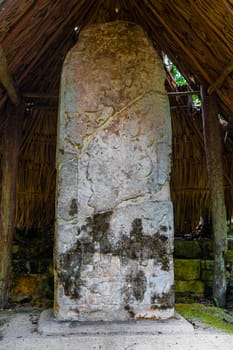 Sign fonts panel board and information at Coba Maya Ruins the ancient buildings and pyramids in the tropical forest jungle in Coba Municipality Tulum Quintana Roo Mexico.