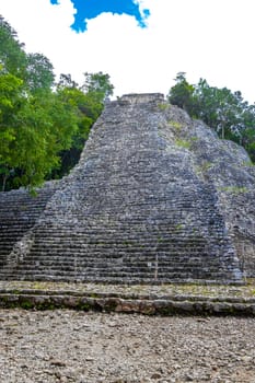 Coba Maya Ruins the ancient building and pyramid Nohoch Mul in the tropical forest jungle in Coba Municipality Tulum Quintana Roo Mexico.