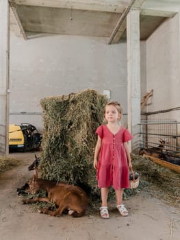 Little girl with a basket of blueberries stands near the goatlings lying on a haystack. High quality photo