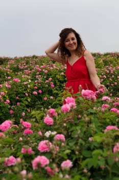 Beautiful woman in dress on a field of blossoming roses