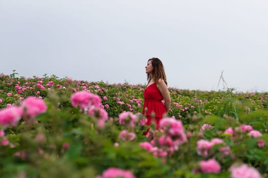 Beautiful woman in dress on a field of blossoming roses