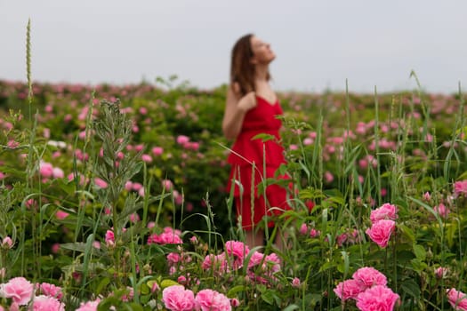 Beautiful woman in dress on a field of blossoming roses