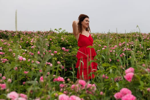 Beautiful woman in dress on a field of blossoming roses