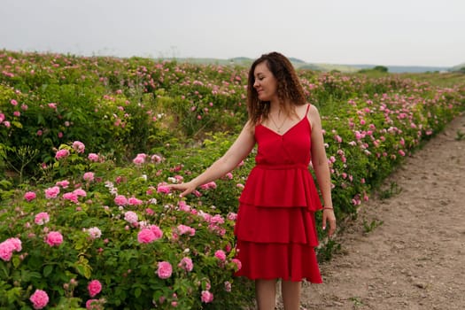 Beautiful woman in dress on a field of blossoming roses