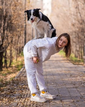 Black and white border collie dog stands on the back of the mistress on a walk in the autumn park