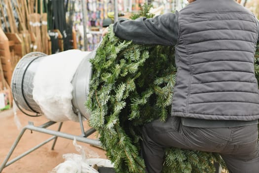 Salesman being wrapped up a cut Christmas tree packed in a plastic net