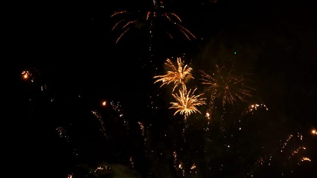 Multiple fireworks explosions on a dark night sky.