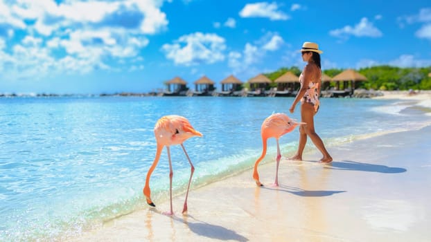 Asian women on the beach with pink flamingos at Aruba, flamingo at the beach in Aruba Island Caribbean. woman in a bikini relaxing on the beach during vacation