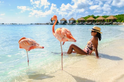 Asian women on the beach with pink flamingos at Aruba, flamingo at the beach in Aruba Island Caribbean. woman in bikini relaxing on the beach during vacation