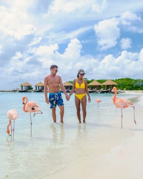 Aruba Caribbean Island, a couple of men and women on the beach with pink flamingos at Aruba Island Caribbean.