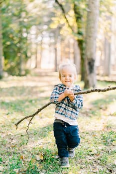 Little girl with a long stick walks through a sunny autumn forest. High quality photo