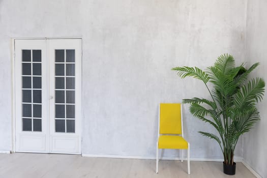 One black chair and a green plant in the interior of a white room