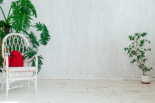 sofa with plants in the interior of the gray room of the house