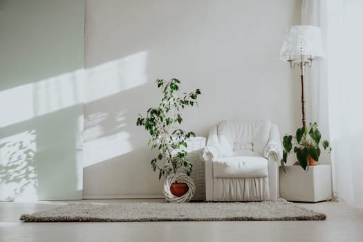 Bright room with white armchair TThis and home plants 1