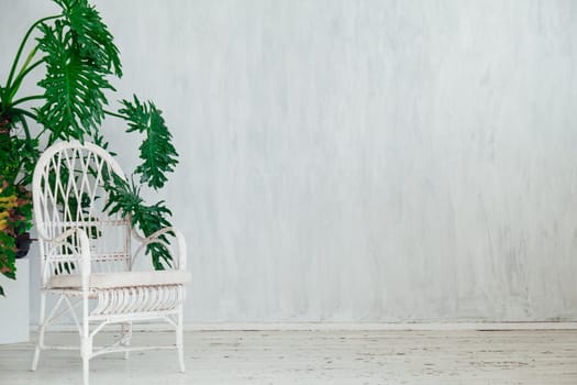 chair with home plants in the interior of the gray room