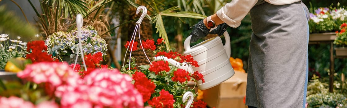 Close up of woman florist taking care of plant watering it in floral shop. High quality photo