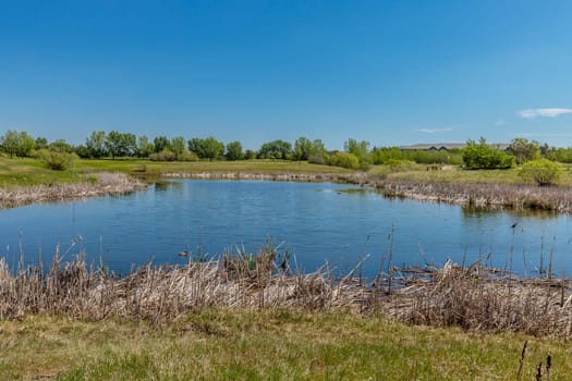 Lakewood Park is located in the Wildwood neighborhood of Saskatoon.